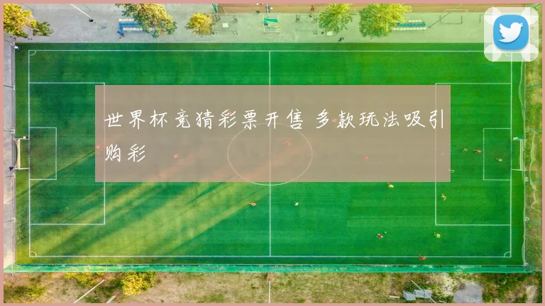 世界杯竞猜彩票开售 多款玩法吸引购彩