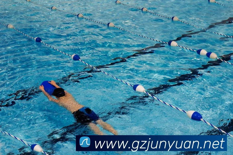 App Interface Preview