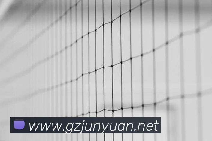 投注app官网APP 封面图